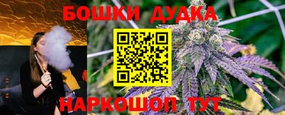 МДПВ Краснознаменск
